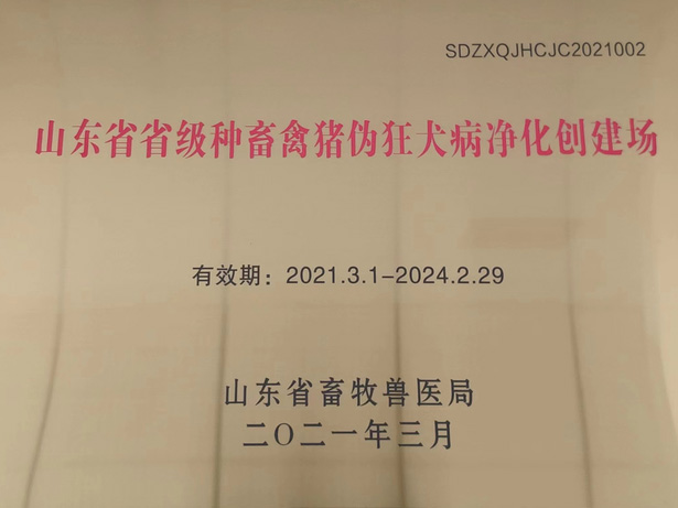 山东省省级种禽畜猪伪狂犬病净化创建场